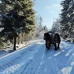 4 Pory Roku Semesterbostad