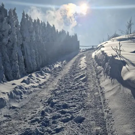 4 Pory Roku * Koniaków