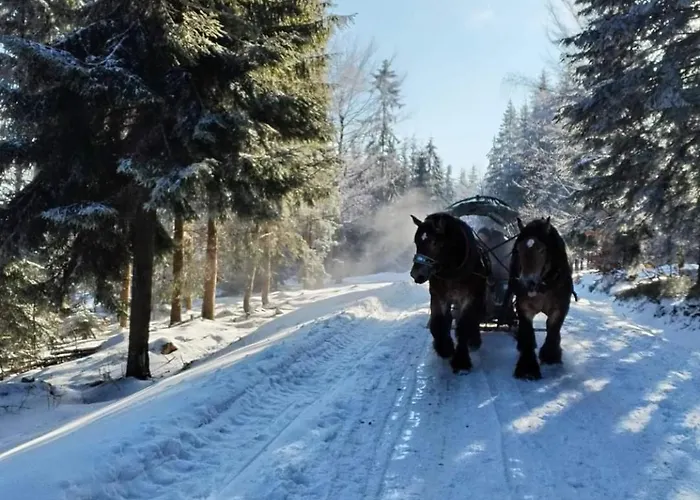 4 Pory Roku Prázdninový dům