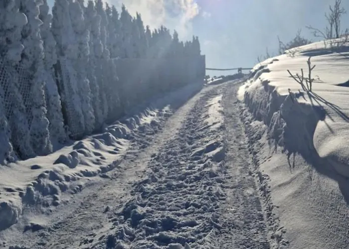 4 Pory Roku * Koniaków